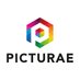 Picturae company logo