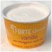 Forte Gelato company logo