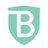 BrandShield Logo