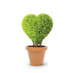 Greenopia company logo