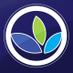 Catapult Learning company logo