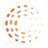HealthSnap Logo