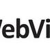 Webvisible company logo