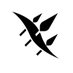 Epirus company logo