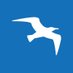 Baygull Studios company logo