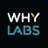 WhyLabs Logo
