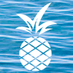 AppFusions company logo