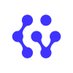 CyberVein company logo