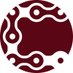 Chainvine company logo