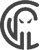 Critical Insight company logo