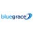BlueGrace Logistics Logo
