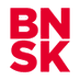 Brainshark company logo