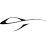 Odys Aviation Logo
