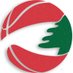 lebanese basketball federation company logo