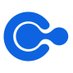 ChannelApe company logo