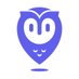 Placer.ai company logo