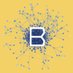 Bluicity company logo