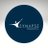 Synapse Biomedical Logo