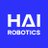 Hai Robotics Logo