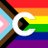 Catchpoint Systems Logo