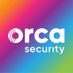 Orca Security logo