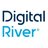Digital River Logo