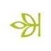 Ancestry company logo
