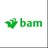 BAM Logo