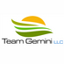 Team Gemini company logo