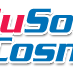 Valusoft company logo