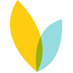 VideoBloom, Inc. company logo