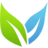 eVolution Networks Logo