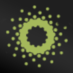 Akoya company logo