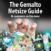 Netsize company logo