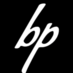 Brandpic company logo