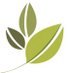 Prototypes company logo