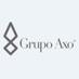 Grupo Axo company logo