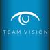 Team Vision company logo