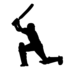 oCricket company logo