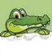 Anygator company logo