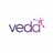VEDA Data Solutions Logo