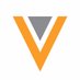 Veeva Systems Logo