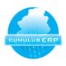 CumulusERP company logo