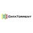 DataTorrent Logo