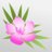 Oleander Medical Technologies Logo