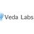 Veda Labs Logo